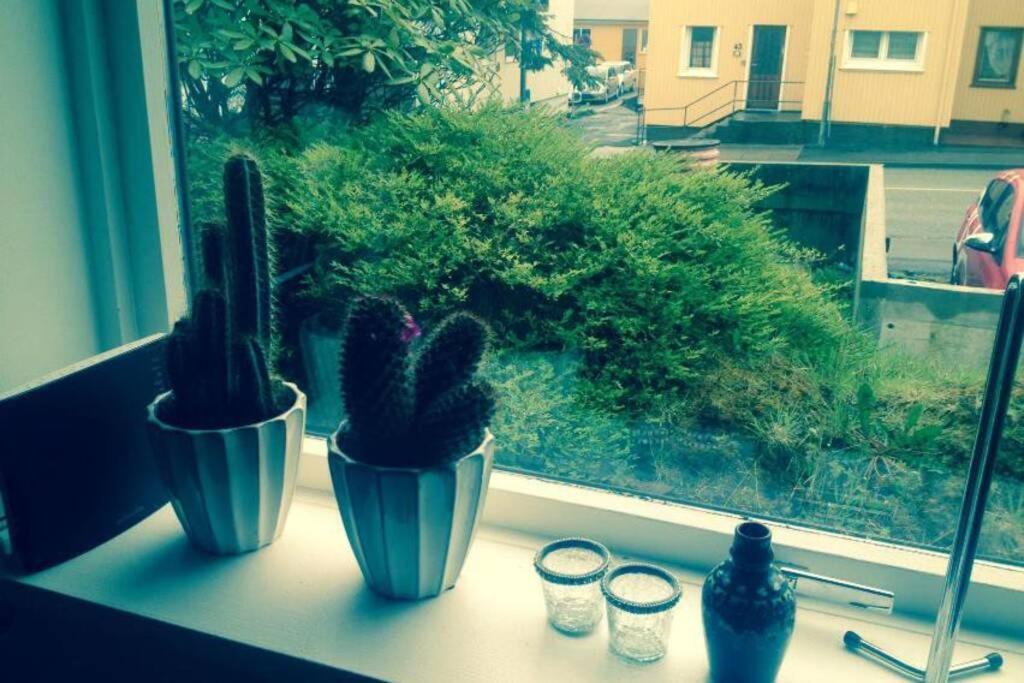 The Perfect Base In Torshavn Apartment ภายนอก รูปภาพ