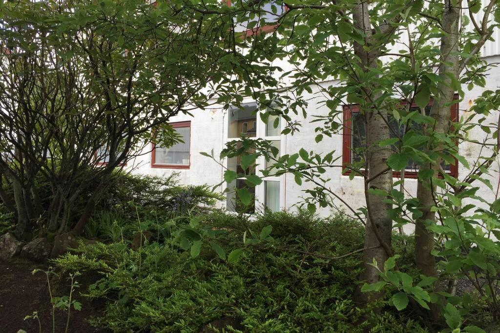 The Perfect Base In Torshavn Apartment ภายนอก รูปภาพ